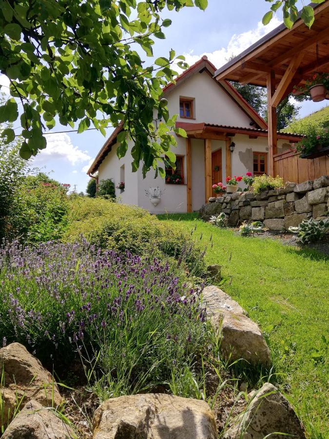 Villa Charming House With Beautiful Landscape Frýdštejn Esterno foto