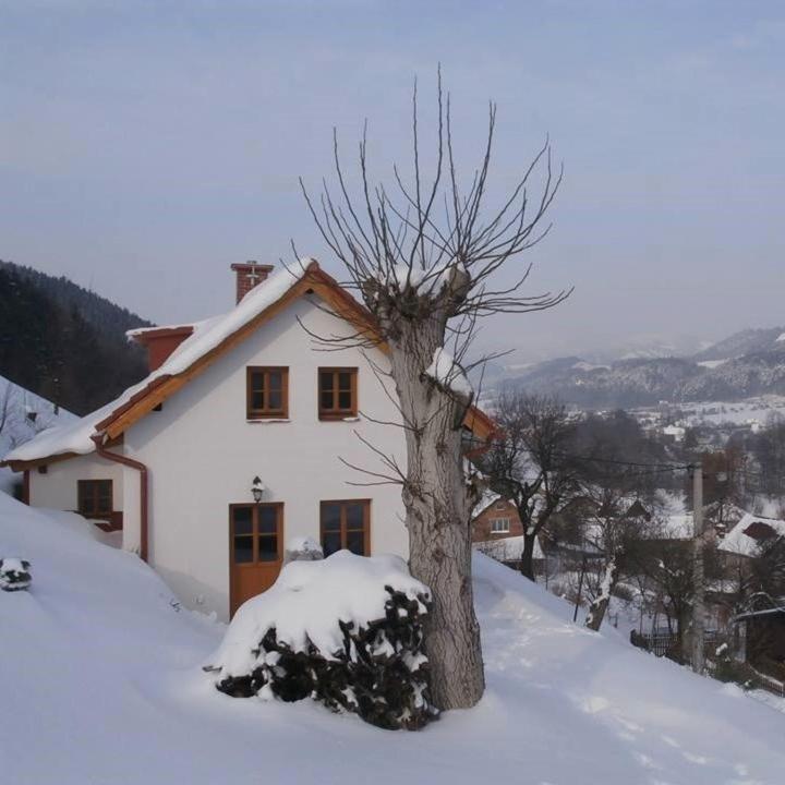 Villa Charming House With Beautiful Landscape Frýdštejn Esterno foto