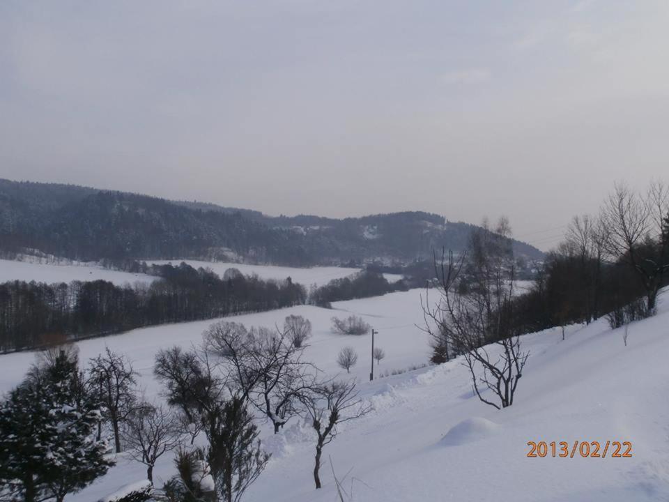 Villa Charming House With Beautiful Landscape Frýdštejn Esterno foto